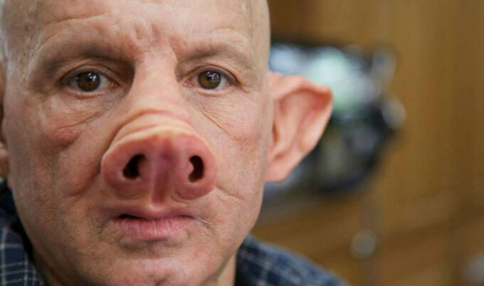 VegNews.PigMan