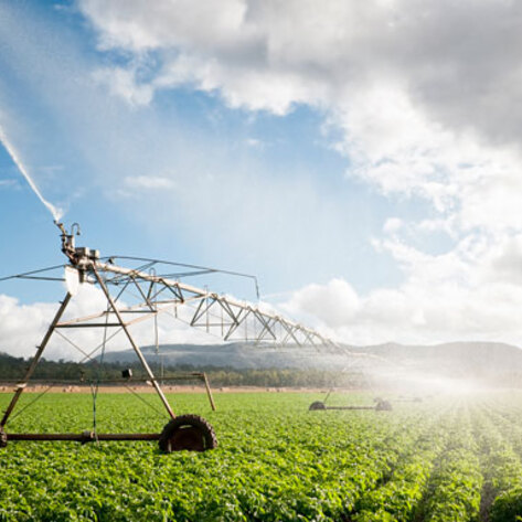 Oil Field Wastewater Used to Grow Crops