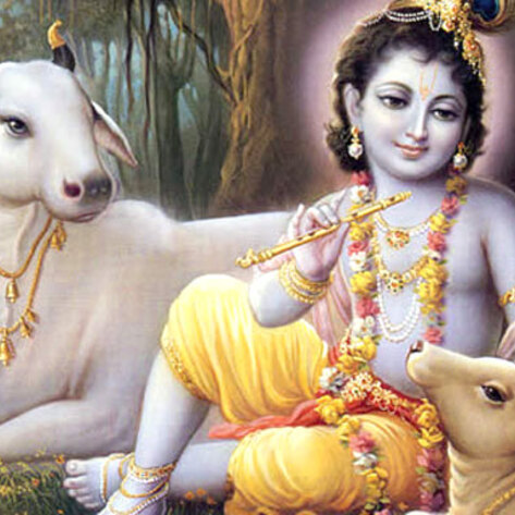 Indian Town Will Be Vegetarian For 17 Days