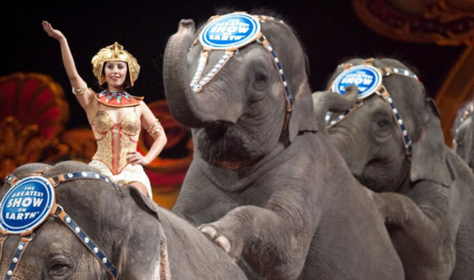 VegNews.CircusElephants