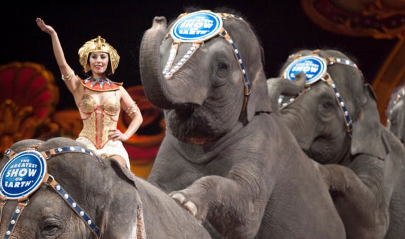 Ringling Bros. Circus Closes After 146 Years