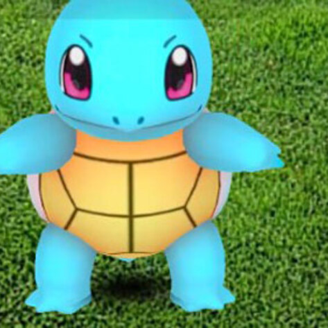 Pokémon Go Players Save Animals in the Real World