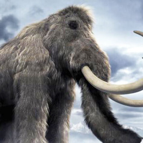 VegNews.WoollyMammoth
