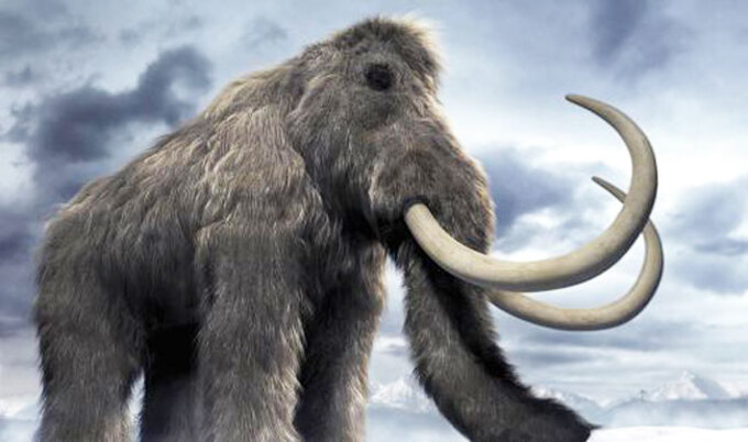 VegNews.WoollyMammoth