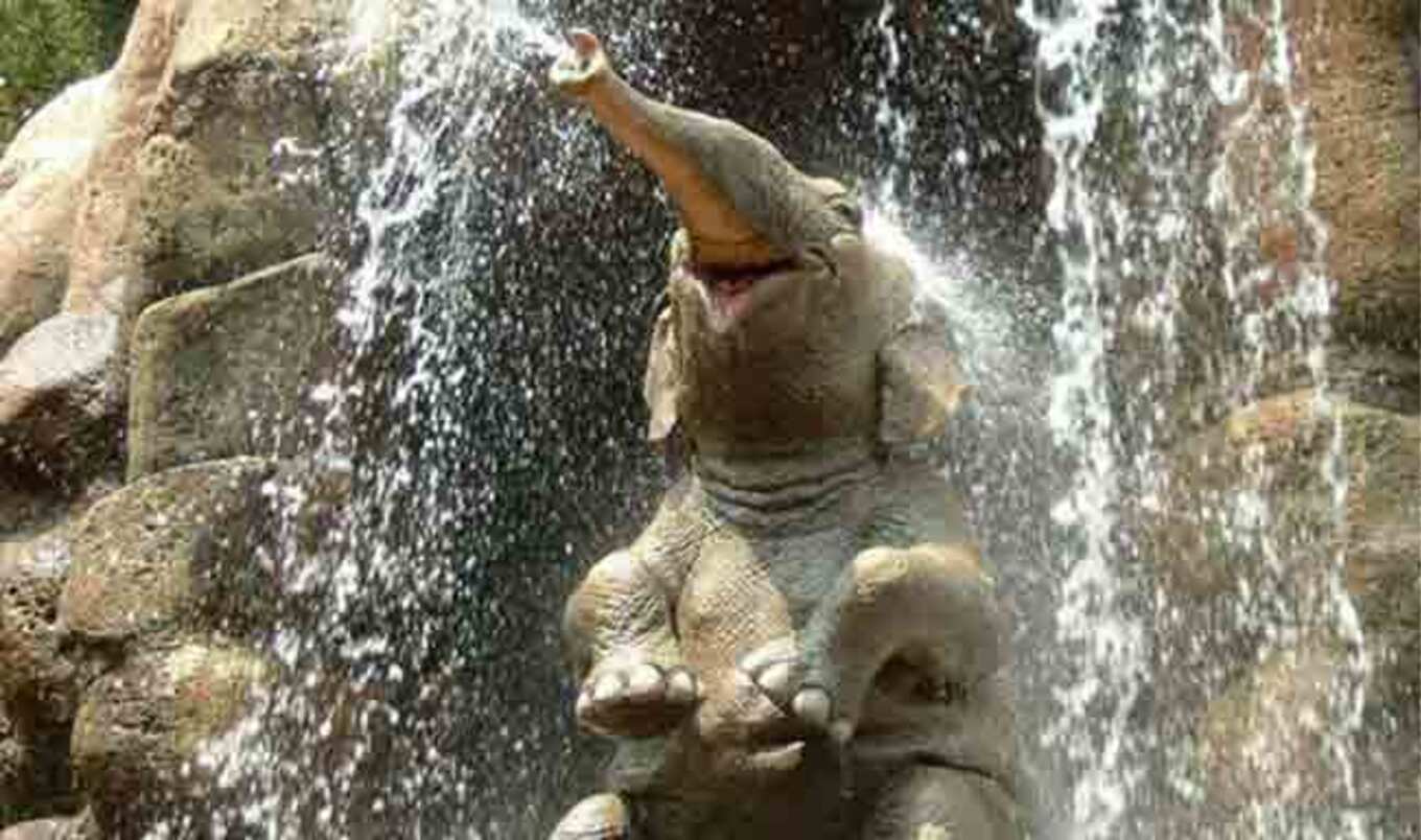 CA Governor Signs Bill Banning Bullhooks