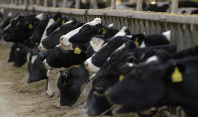 VND.factoryfarm