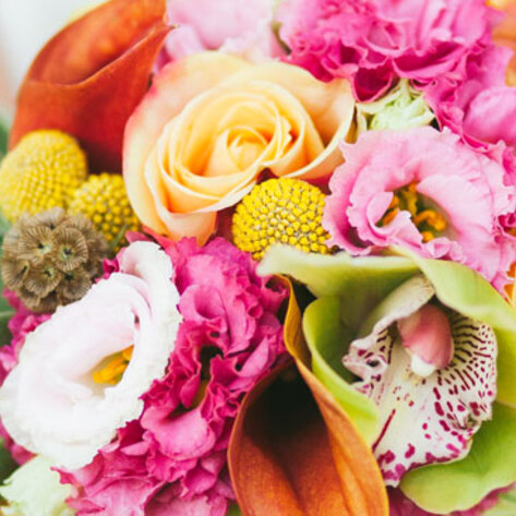 Vegan Weddings 2014