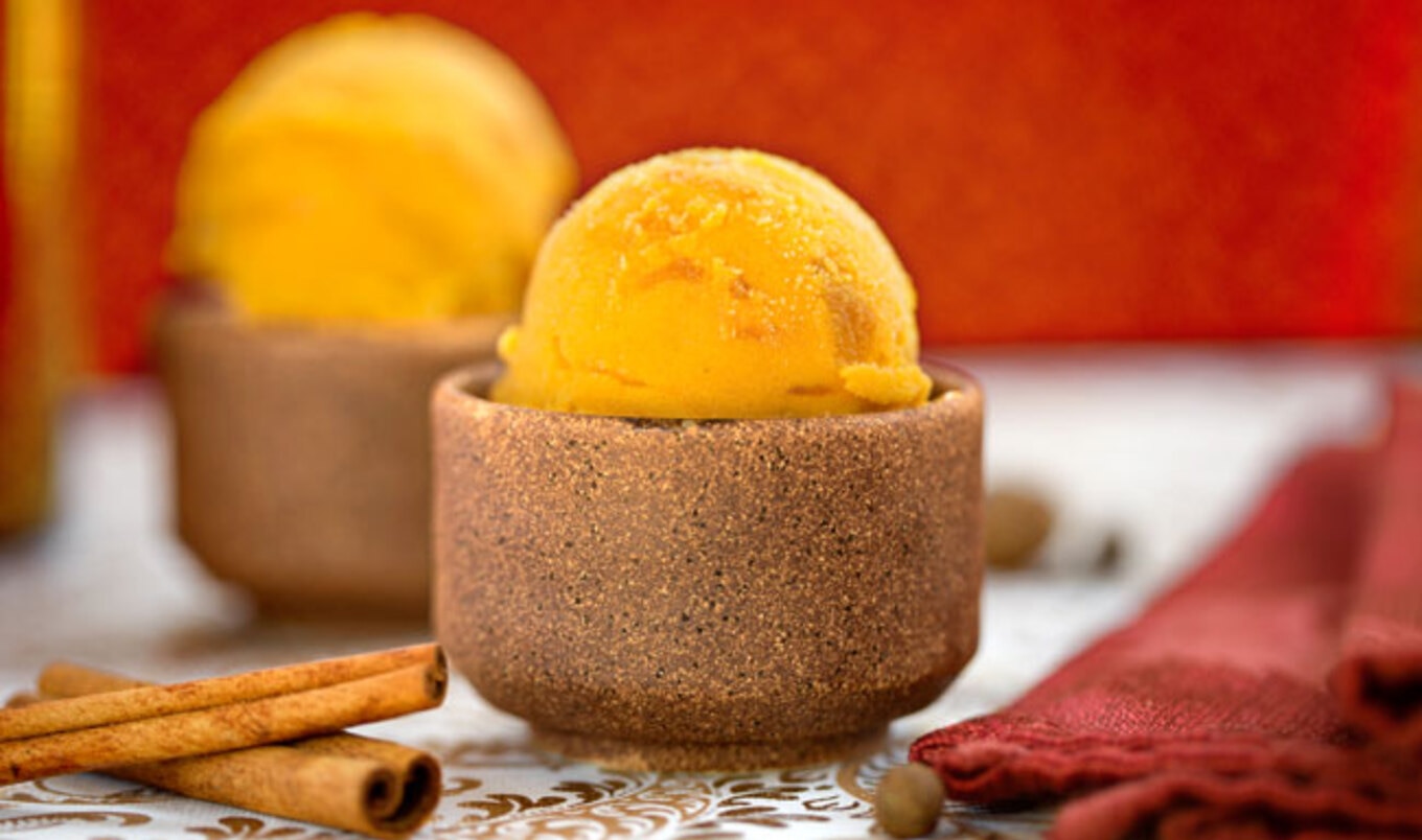 Vegan Pumpkin Spice Frozen Yogurt