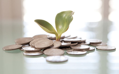 French Incubator Calling All Plant-Based Startups