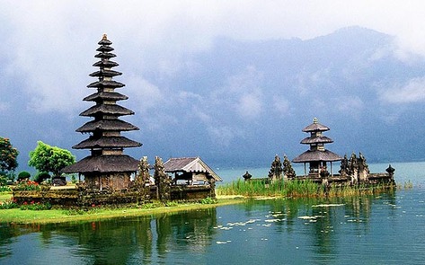 Second Annual Vegan Fest Kicks Off in Bali