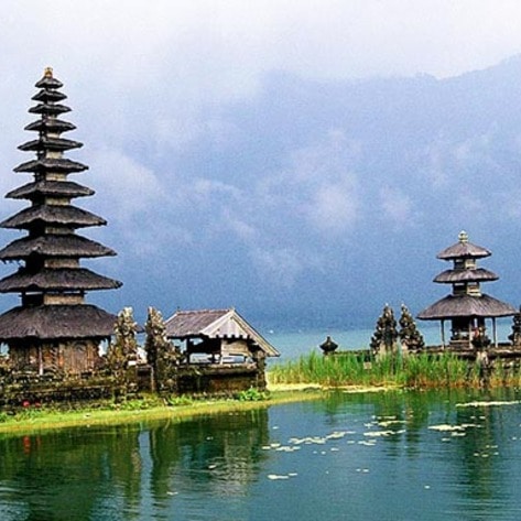Second Annual Vegan Fest Kicks Off in Bali