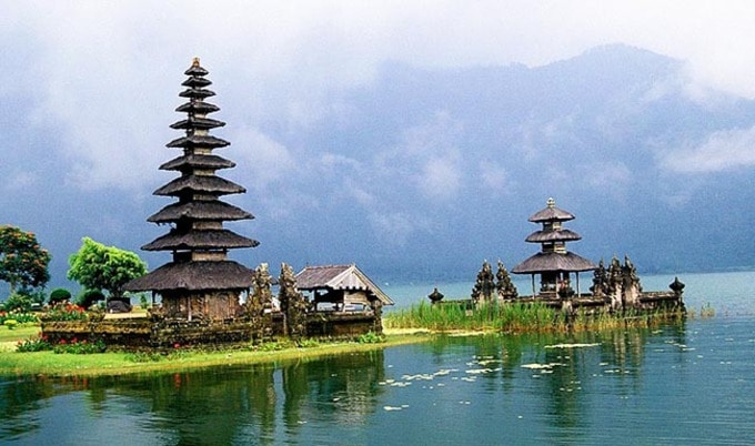 VegNewsBali