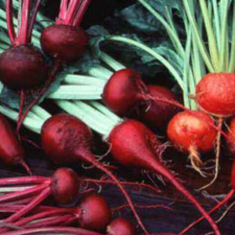 Beetroot Increases Stamina