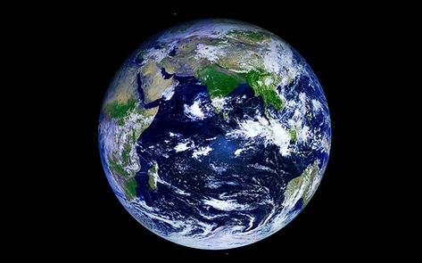 VegNewsEarth