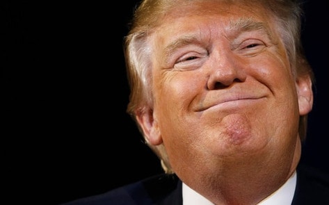 Meat and Dairy Industries Favor Trump Over Clinton