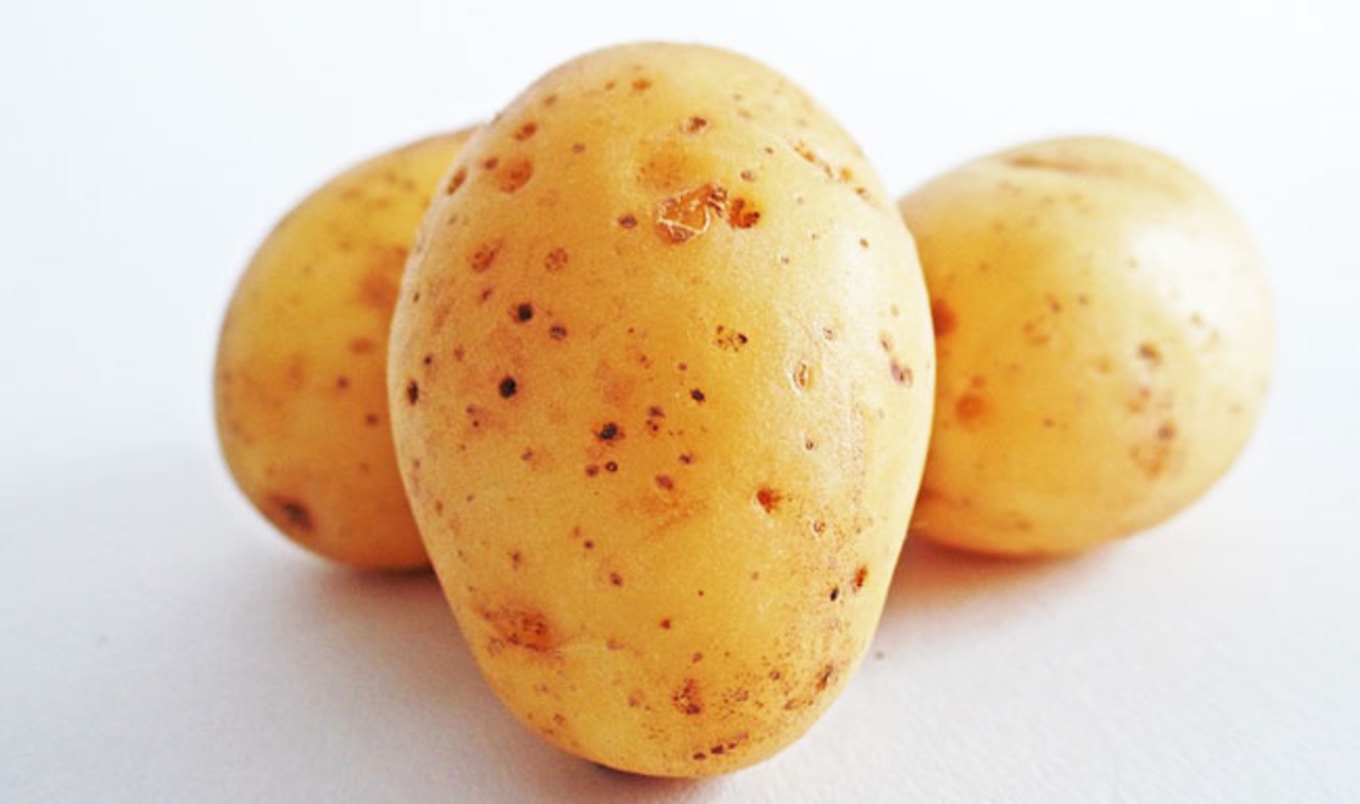 Potato-Based Vegan Cheese Developed in Australia