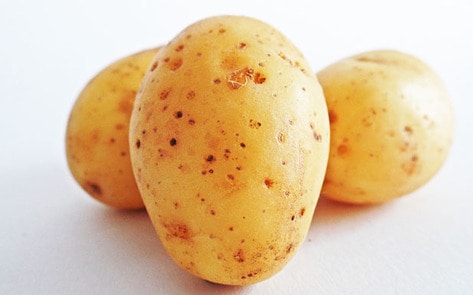 Potato-Based Vegan Cheese Developed in Australia