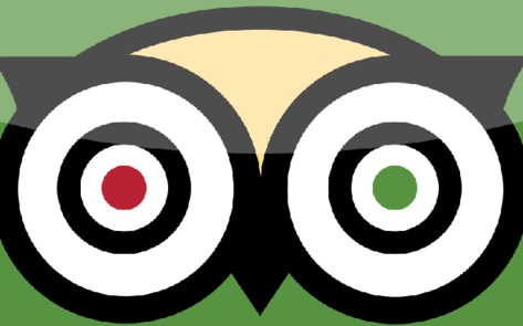 TripAdvisor Stops Selling Tickets to Animal Attractions