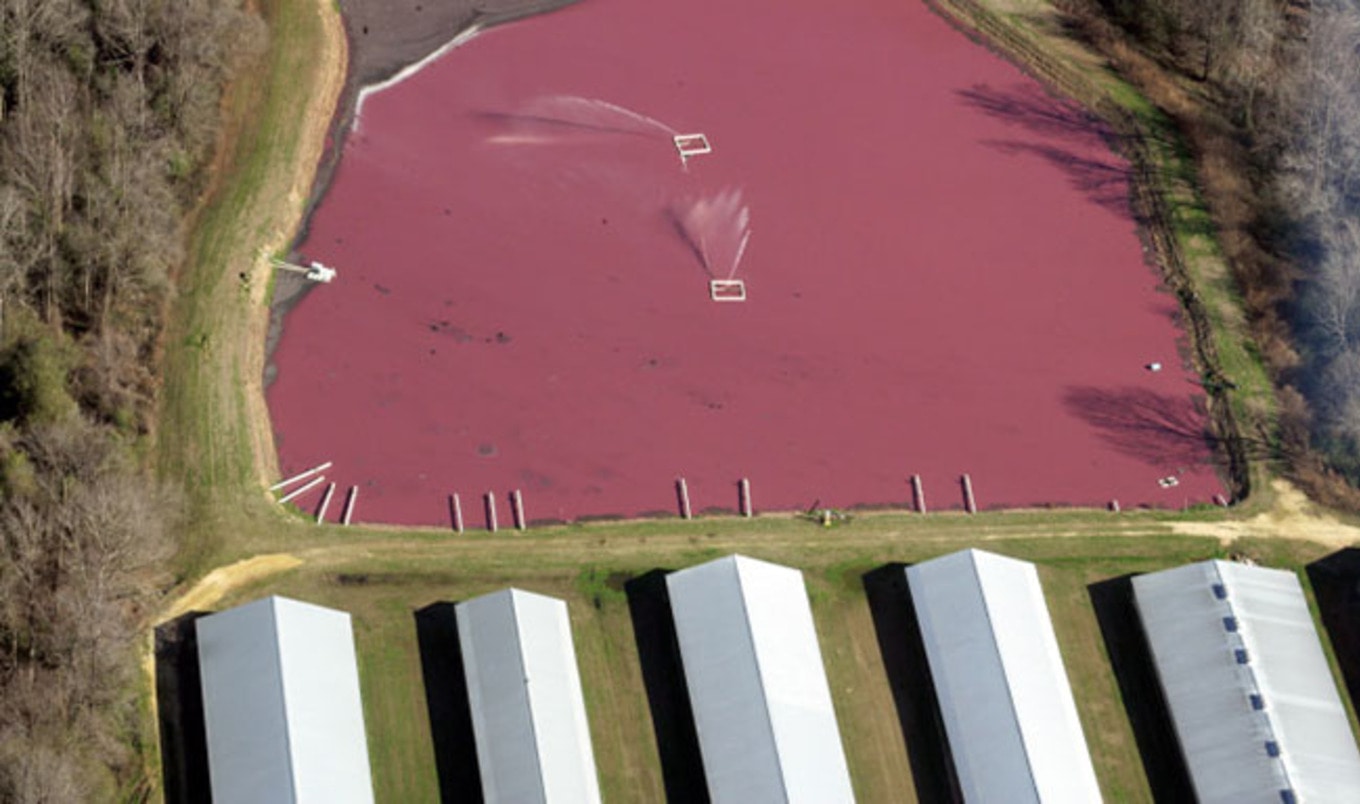 World's Largest Pork Plant Reopens Post-Hurricane Matthew