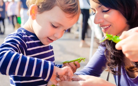 Children Influence Families to Go Vegan