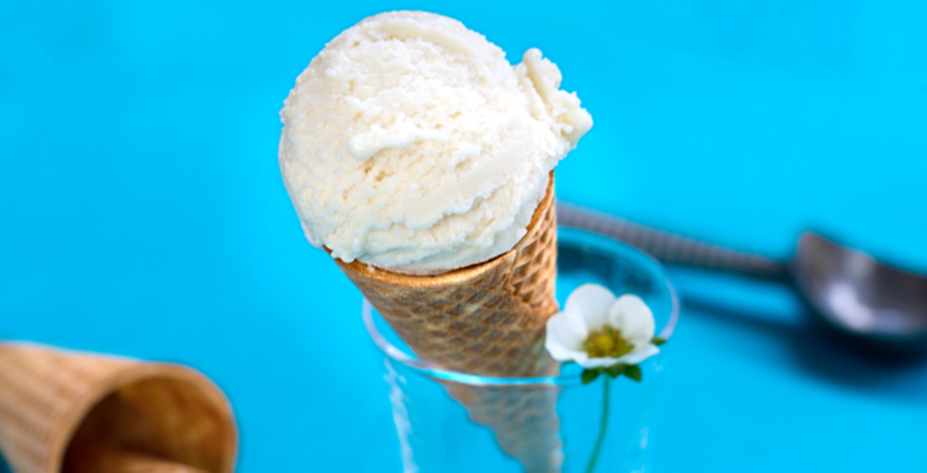 Four-Ingredient Cashew Vanilla Ice Cream
