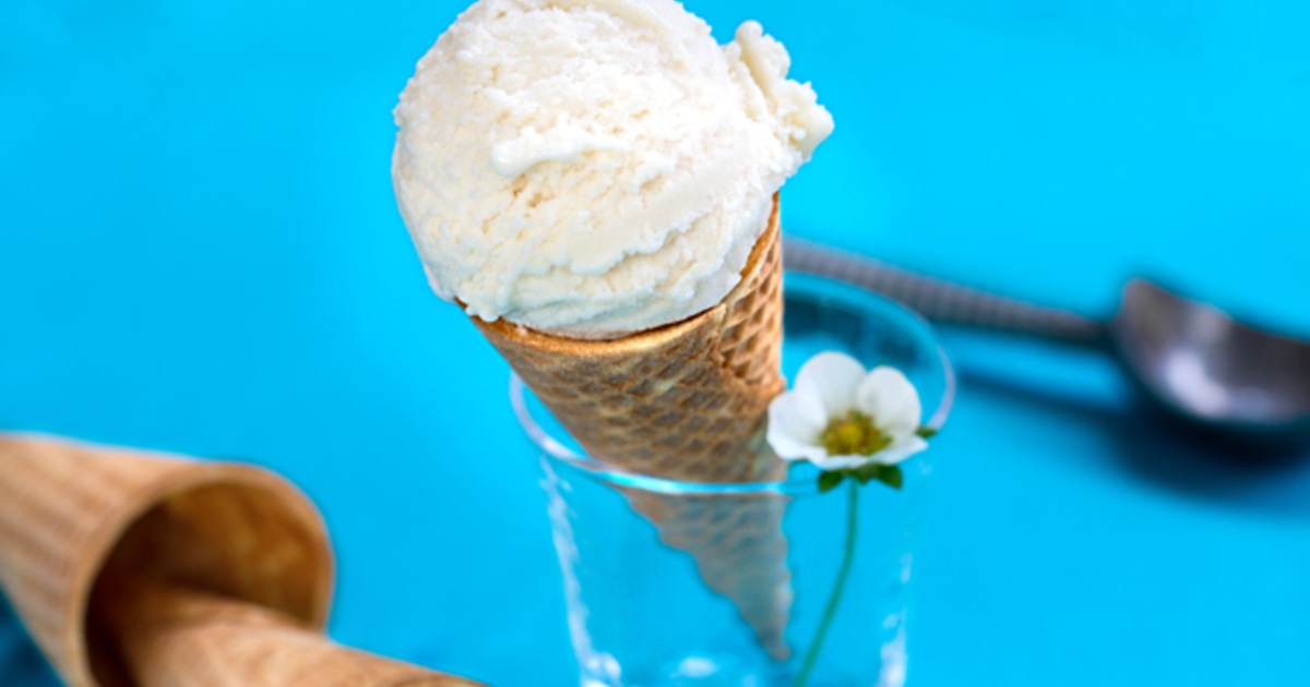 FourIngredient Vegan Vanilla Ice Cream VegNews