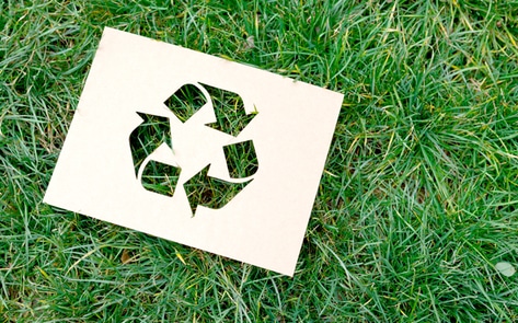 5 Zero-Waste Tips for Vegans