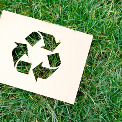5 Zero-Waste Tips for Vegans