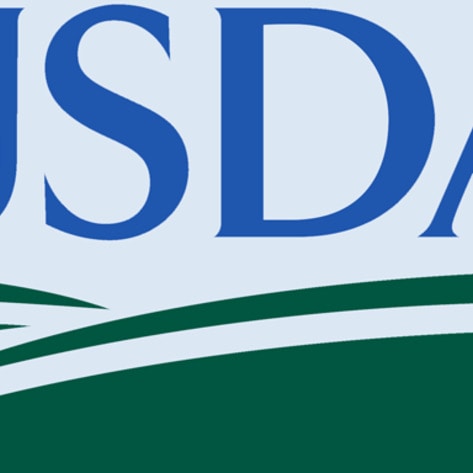 Horse Abuse Lawsuit Prompted Blackout of USDA Records