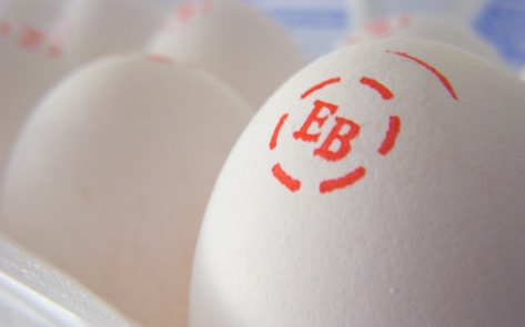 Number One Egg Brand in America to Go Cage-Free