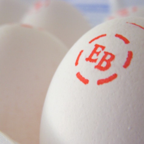 Number One Egg Brand in America to Go Cage-Free