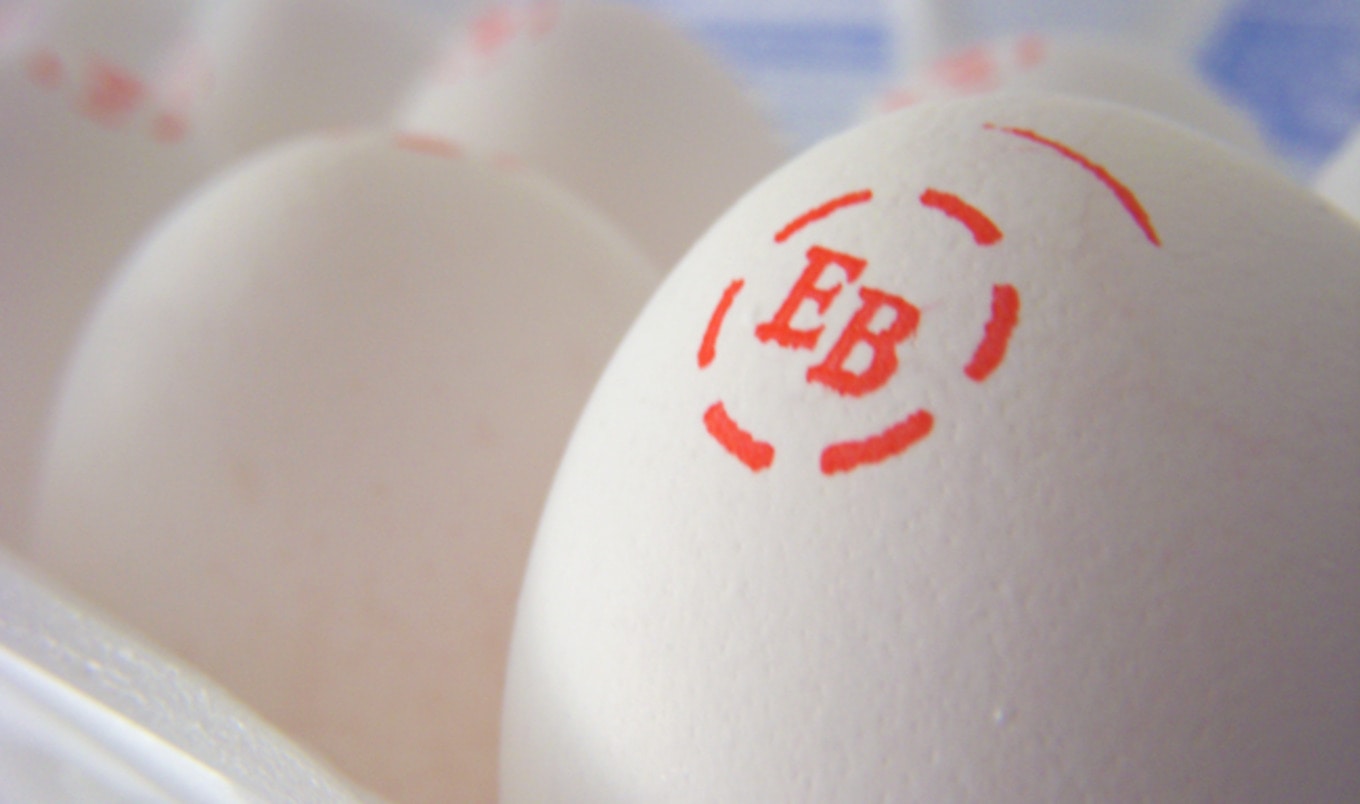 Number One Egg Brand in America to Go Cage-Free