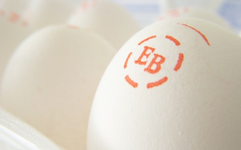 Cruelty Exposed at Eggland's Best Supplier