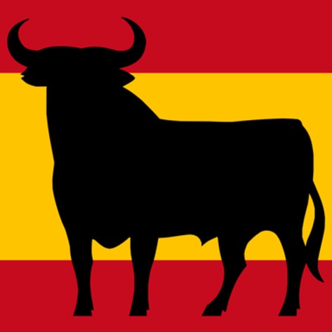 Spain's Animalista Party Wins Record Electoral Support