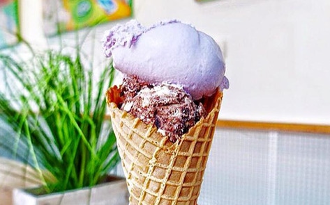 Popular Vegan Ice Cream Shop to Pop Up in Fenway