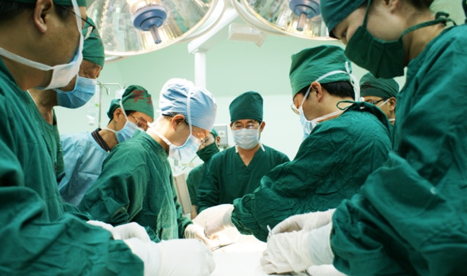 VegNews.MedicalStudents