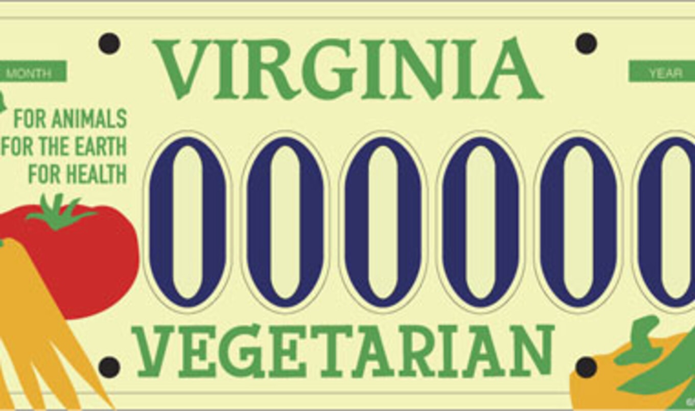 Vegetarian License Plates