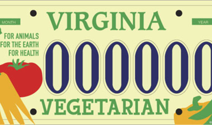VND.licenseplate