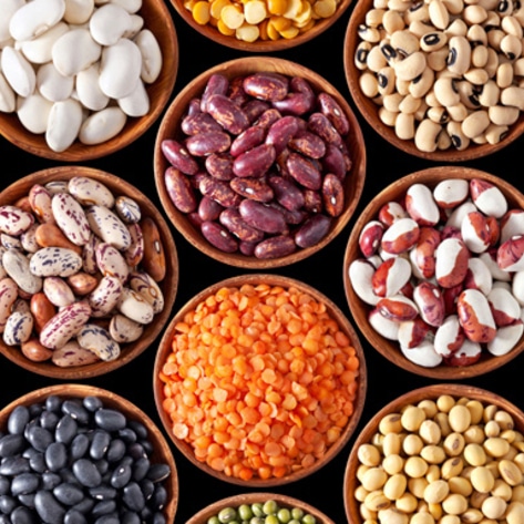 Meatless Product-Launches Increase by 451 Percent