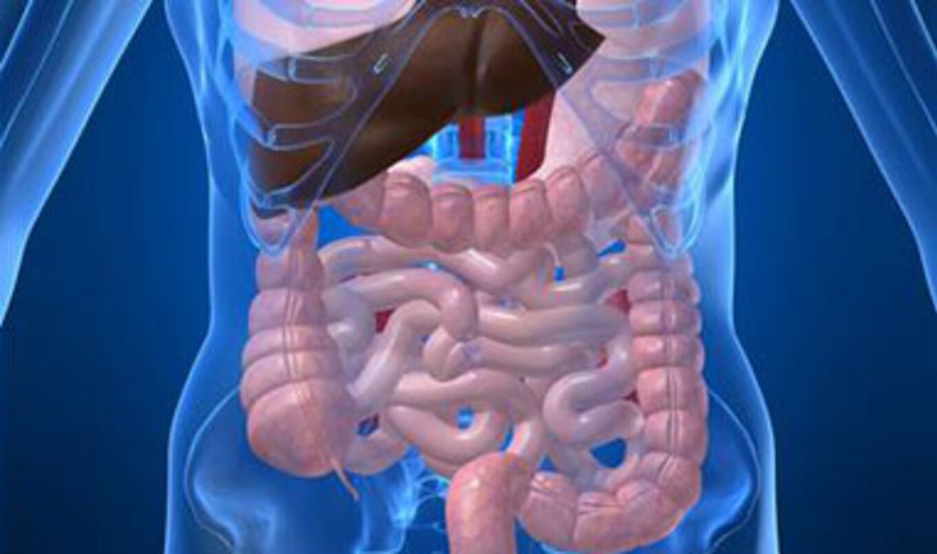 Anatomy of a Vegan Infograph