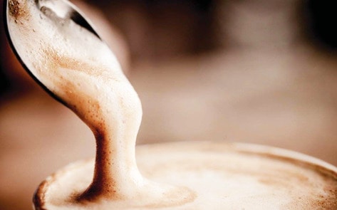 Startup Makes Vegan Dairy Indulgences that Mimic Cow's Milk