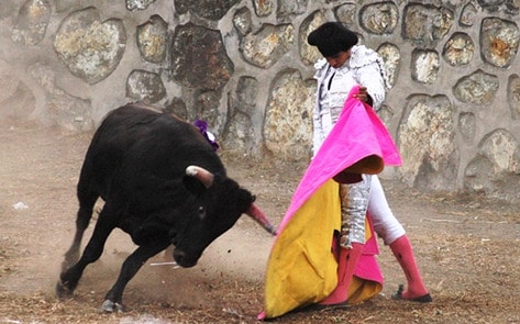 Spain Overturns Bullfighting Ban