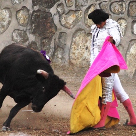 <i>Los Angeles Times</i> Calls for an End to Bullfighting