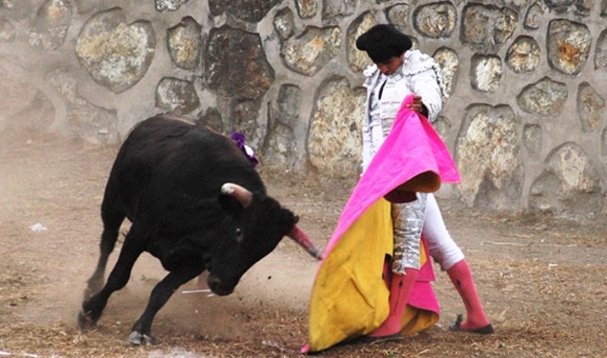 VegNews.Bullfighting