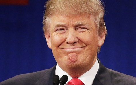 Founder of Vegan Company Pens "Dear Donald" Letter in <i>NYT</i>