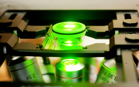 "Human on a Chip" Could Make Animal Testing Obsolete