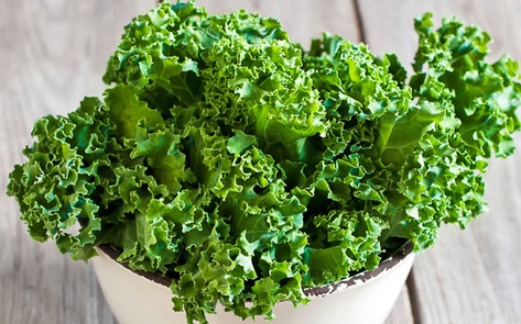 Dietitian-Backed Vegan Support Program Debuts in US