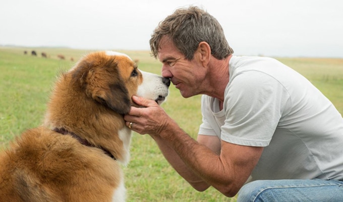 VegNewsADogsPurpose
