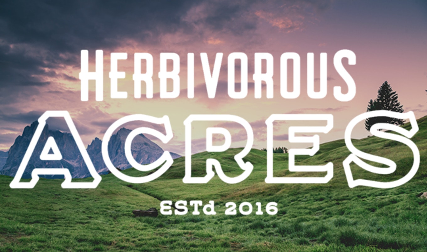 Herbivorous Butcher to Open Farm Animal Sanctuary