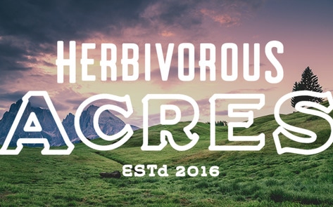 Herbivorous Butcher to Open Farm Animal Sanctuary